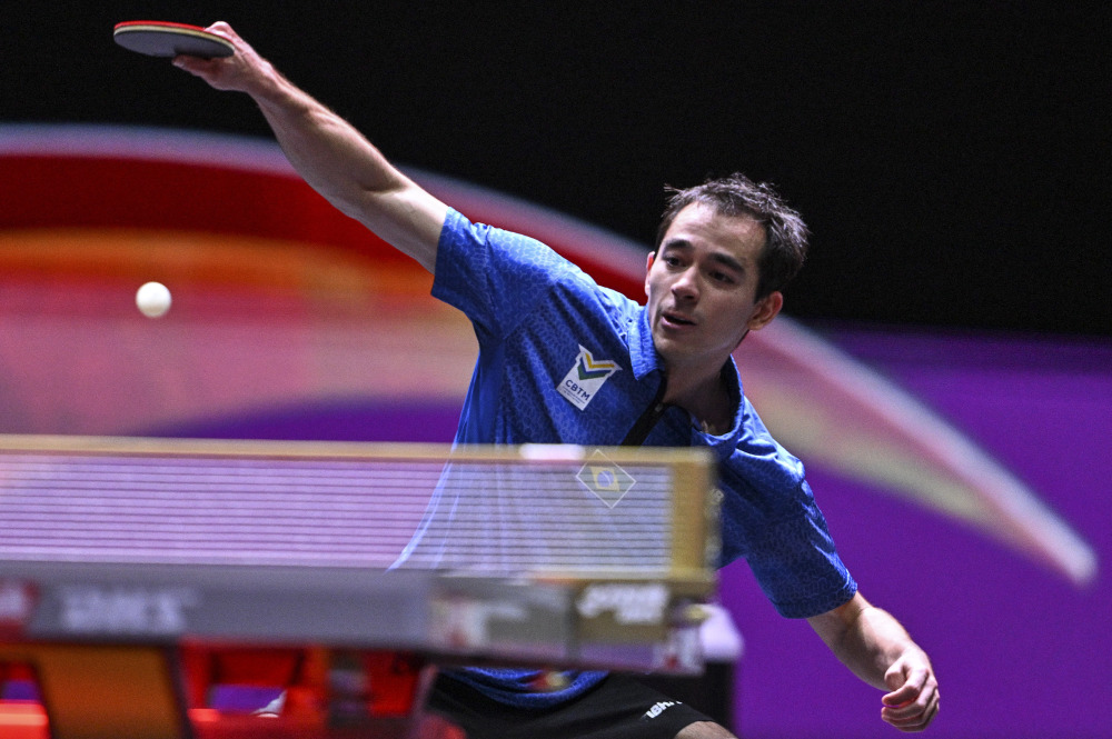 他们在中国 他们在中国