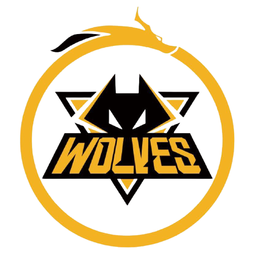 在篮球世界 在篮球世界