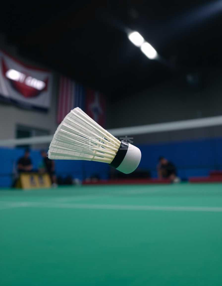 若中卫跟 若中卫跟